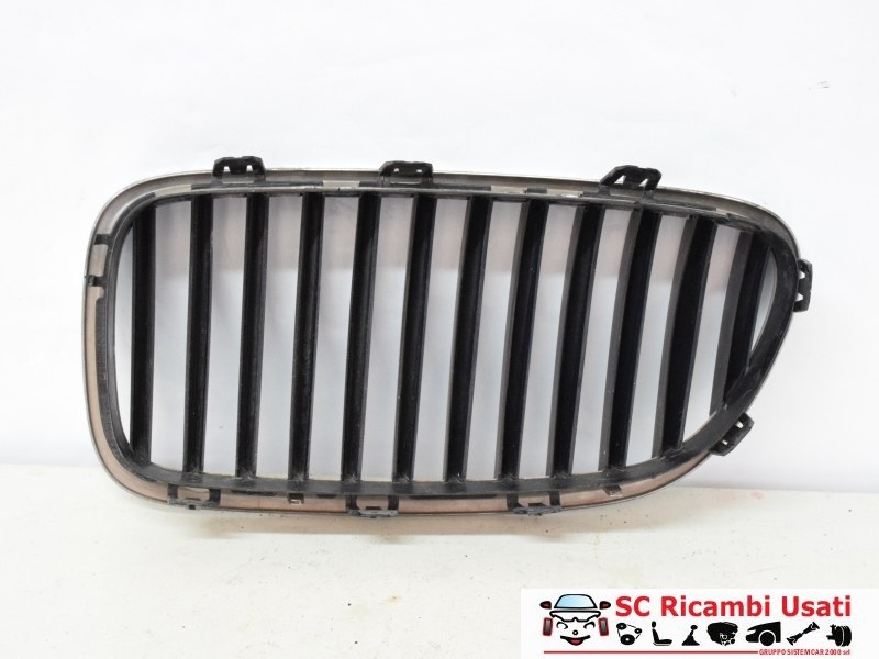 Griglia Paraurti Anteriore Dx Bmw Serie 5 F10 51137200728 51137203204 - 15351