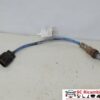 Sonda Lambda 1.2 Benzina Fiat Panda 169 2010 55219791 51774422 - 15684 Sonda Lambda 1.2 Benzina Fiat Panda 169 2010 55219791 51774422 - 15684
