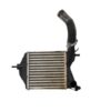 Intercooler Fiat Punto 1.3 Multijet 70cv 46836770 51802117 - 16937 Intercooler Fiat Punto 1.3 Multijet 70cv 46836770 51802117 - 16937