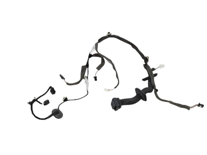 CABLAGGIO PORTA ANTERIORE DESTRA RENAULT Megane III 241242022R (08>16)