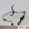 IMPIANTO ELETTRICO (CABLAGGIO) PORTA POSTERIORE SX RENAULT Megane III 241276974R (08>16)
