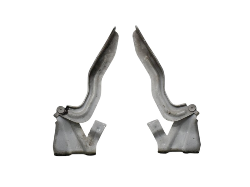 Cerniere Cofano Anteriore Nissan Qashqai J11 - 20113 Cerniere Cofano Anteriore Nissan Qashqai J11 - 20113