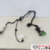 IMPIANTO ELETTRICO (CABLAGGIO) PORTA POSTERIORE SX CITROEN DS4 1° Serie 967760948 (11>)