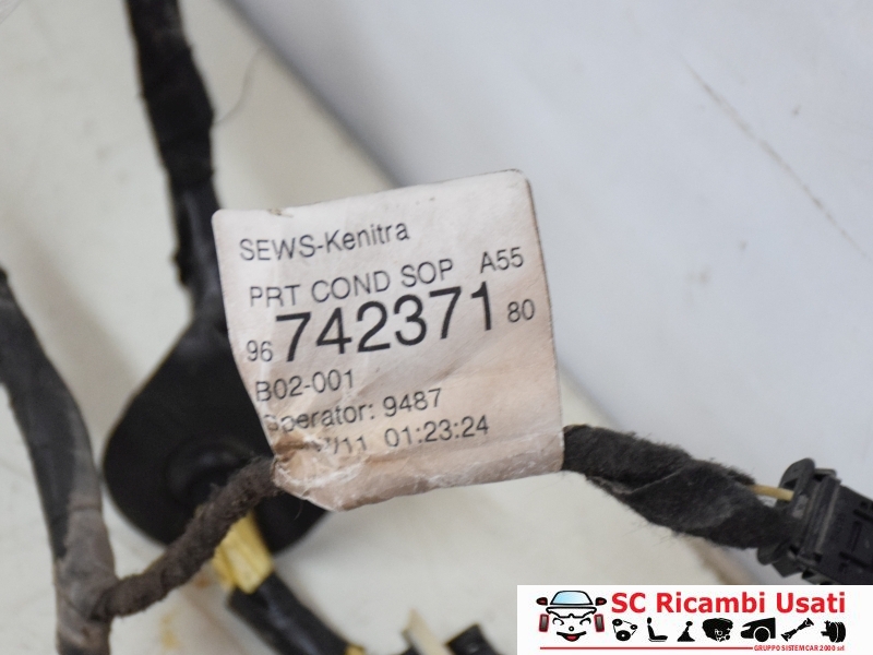 Cablaggio Porta Sinistra Citroen Ds3 9674237180 - 21830 Cablaggio Porta Sinistra Citroen Ds3 9674237180 - 21830