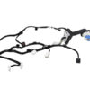 IMPIANTO ELETTRICO (CABLAGGIO) PORTA ANTERIORE SX FIAT 124 Spider Serie (348) 6000613497 (16>)