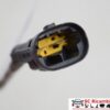 Ventola Radiatore Lancia Phedra 2.2 Jtd 1400821280 - 23961 Ventola Radiatore Lancia Phedra 2.2 Jtd 1400821280 - 23961