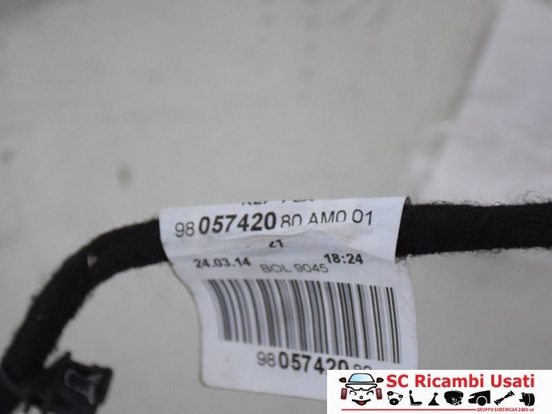 CABLAGGIO PORTA ANTERIORE DESTRA PEUGEOT 208 Serie 9805742080 (12>19)