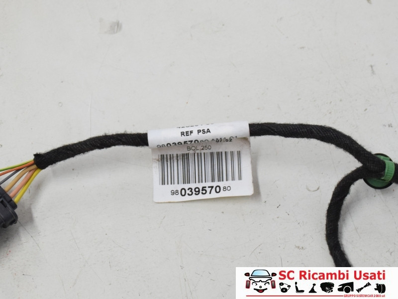 IMPIANTO ELETTRICO (CABLAGGIO) PORTA POSTERIORE SX PEUGEOT 2008 1° Serie 9803957080 (13>)
