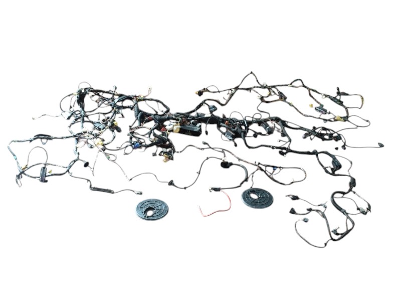 Cablaggio Vw Tiguan 2.0 Tdi - 22491 Cablaggio Vw Tiguan 2.0 Tdi - 22491