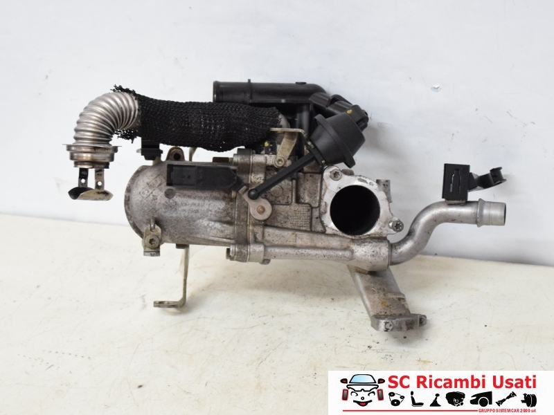 Radiatore Egr Volvo V60 31319549 - 22512