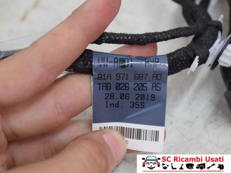 Cablaggio Porta Posteriore Audi Q2 81A971687AD - 25808