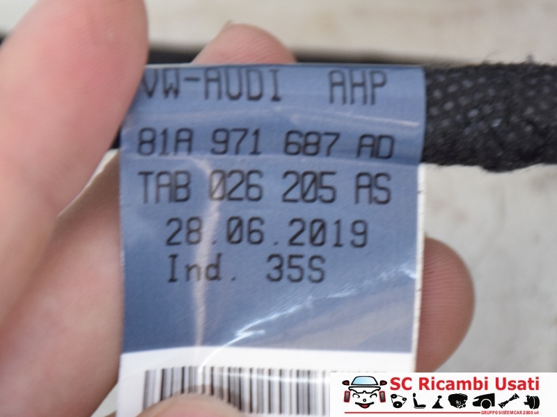 Cablaggio Porta Posteriore Audi Q2 81A971687AD - 25809