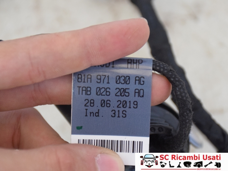 Cablaggio Porta Anteriore Destra Audi Q2 81A971030AG - 25900