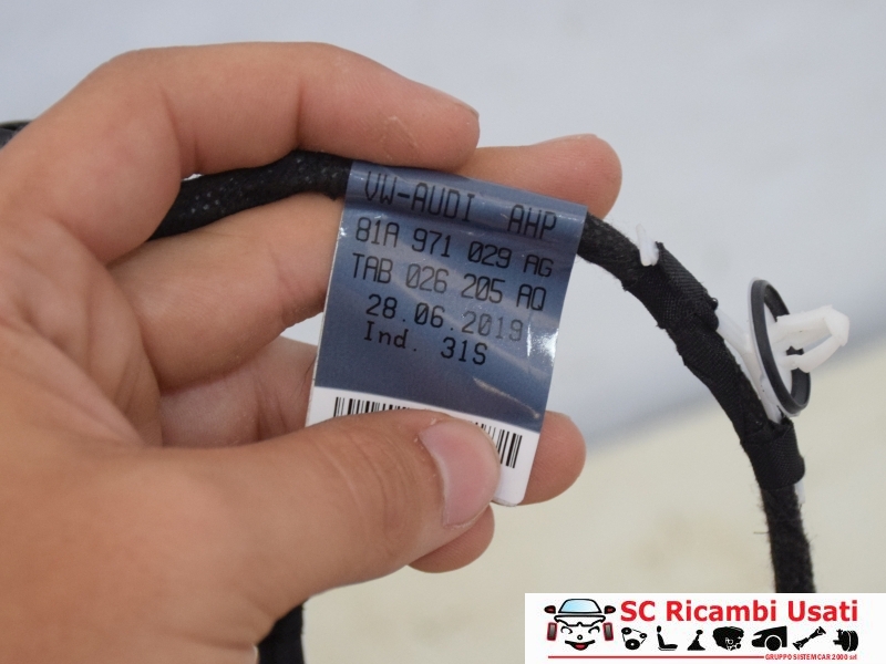 Cablaggio Porta Anteriore Sinistra Audi Q2 81A971029AG - 25901 Cablaggio Porta Anteriore Sinistra Audi Q2 81A971029AG - 25901