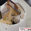 Pompa Carburante Gasolio Audi Q2 5Q0919050BB - 25970 Pompa Carburante Gasolio Audi Q2 5Q0919050BB - 25970