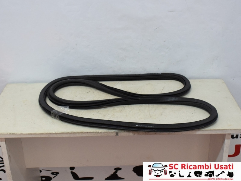GUARNIZIONE PORTIERA POSTERIORE SINISTRA AUDI Q2 Serie (GAB) 81A833721A (16>)