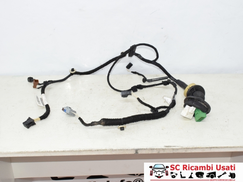 Cablaggio Porta Anteriore Destra Citroen C3 9674236780 - 25226