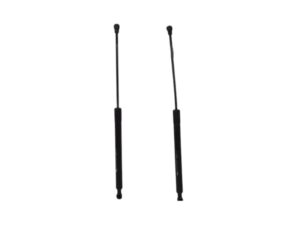 Molle A Gas Portellone Citroen C3 9683733980 - 25307