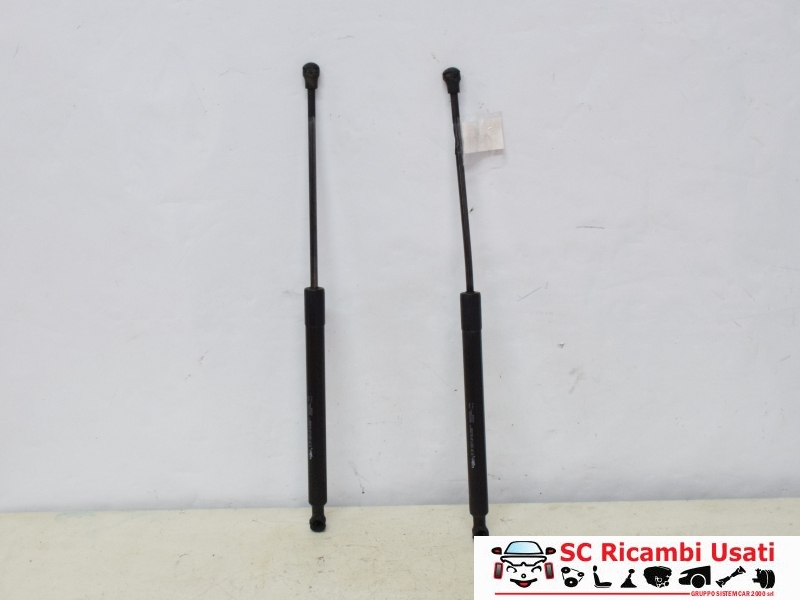 Molle A Gas Portellone Citroen C3 9683733980 - 25307