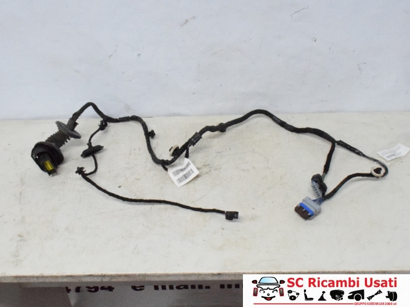 Cablaggio Porta Posteriore Destra Citroen C3 9801479880 - 27889