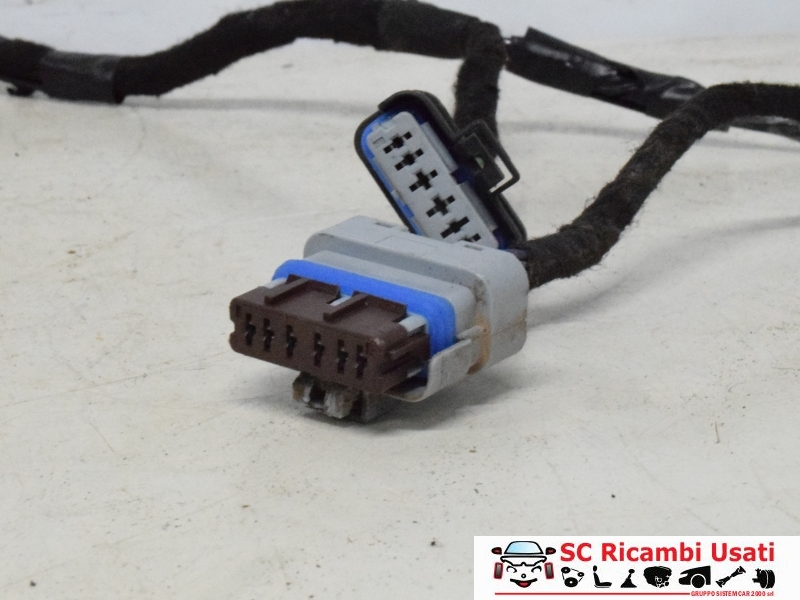 Cablaggio Porta Posteriore Destra Citroen C3 9801479880 - 27889