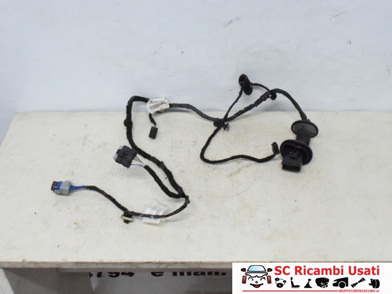 Cablaggio Porta Posteriore Sinistra Citroen C3 9801479880 - 27906