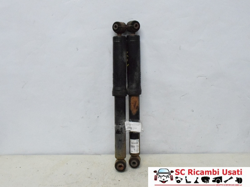 COPPIA AMMORTIZZATORI CITROEN C3 2° Serie 9801739480 (05>10)