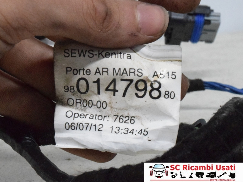 IMPIANTO ELETTRICO (CABLAGGIO) PORTA POSTERIORE SX CITROEN C3 2° Serie 9801479880 (05>10)