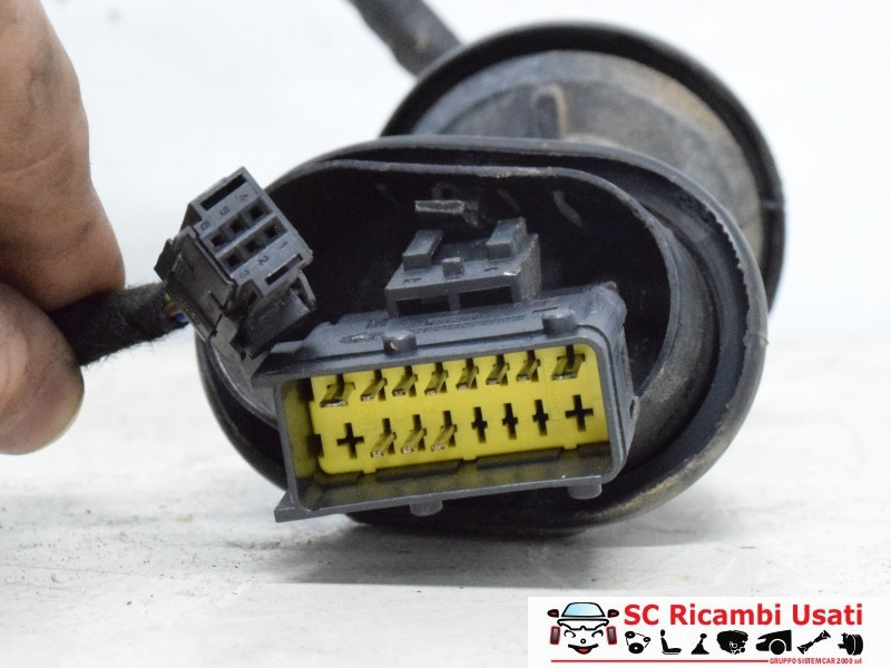 IMPIANTO ELETTRICO (CABLAGGIO) PORTA POSTERIORE SX CITROEN C3 2° Serie 9801479880 (05>10)