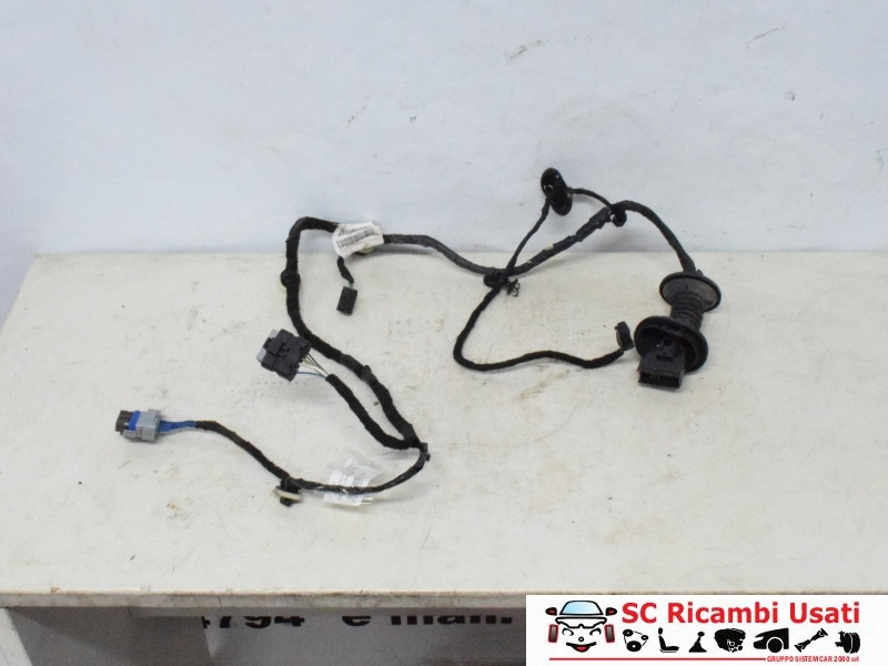 IMPIANTO ELETTRICO (CABLAGGIO) PORTA POSTERIORE SX CITROEN C3 2° Serie 9801479880 (05>10)