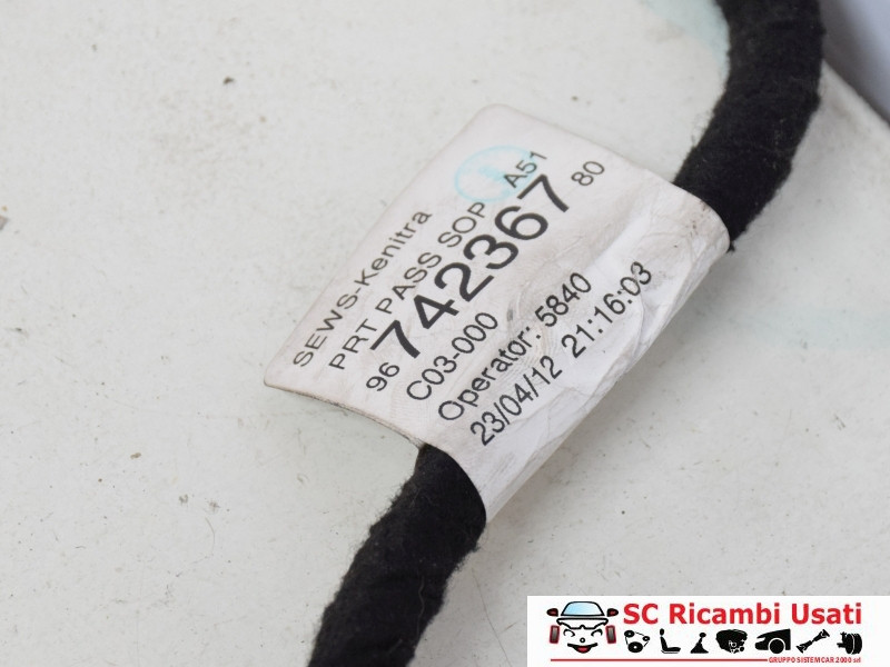 CABLAGGIO PORTA ANTERIORE DESTRA CITROEN C3 2° Serie 9674236780 (05>10)