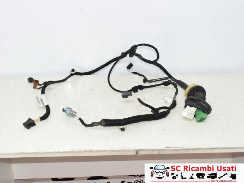 CABLAGGIO PORTA ANTERIORE DESTRA CITROEN C3 2° Serie 9674236780 (05>10)