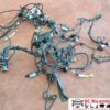 Cablaggio Anteriore Suzuki Baleno 1.2 Vvt - 31463 Cablaggio Anteriore Suzuki Baleno 1.2 Vvt - 31463