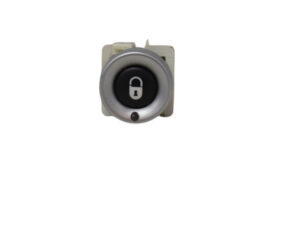 PULSANTIERA CHIUSURA PORTE E PULSANTE ESP LANCIA Phedra 1° Serie 1488928077 (02>10)