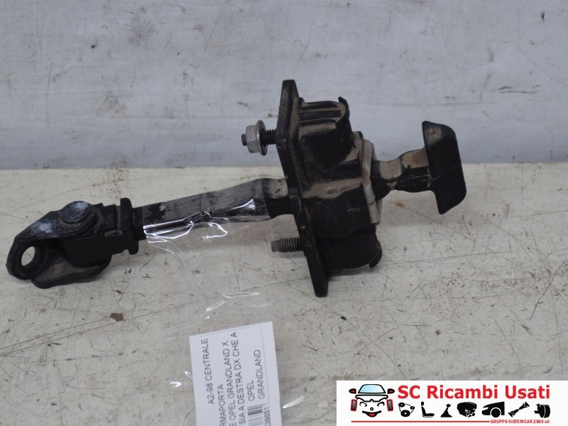 Tirante Porta Posteriore Opel Grandland X