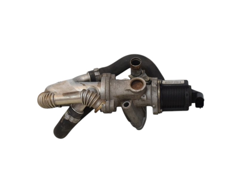 Egr Fiat Panda 1.3 Multijet 55219501 - 25581