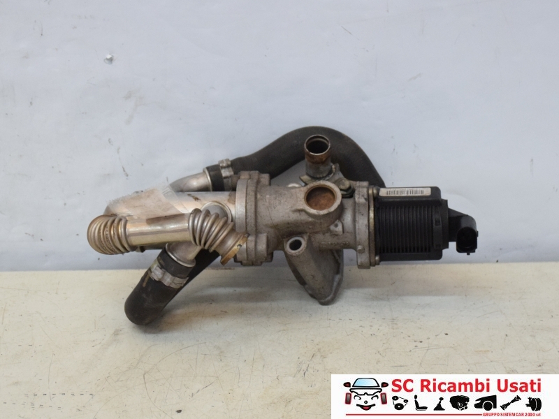 Egr Fiat Panda 1.3 Multijet 55219501 - 25581