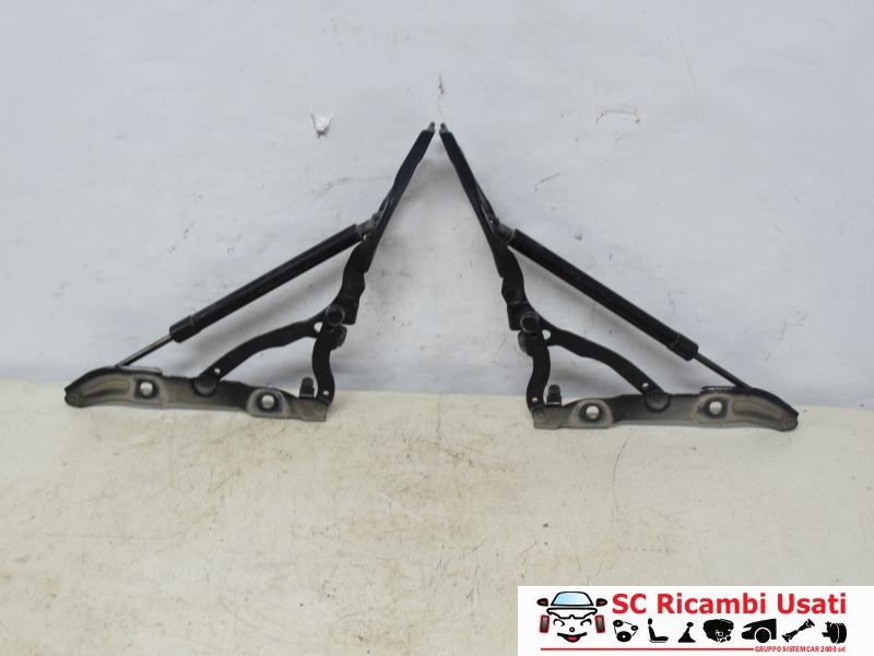 Cerniere Cofano Posteriore Bmw Serie 3 E90  7060627 7060628 - 26924