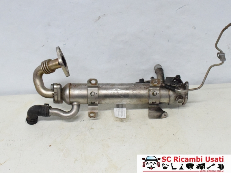 Radiatore Egr Volkswagen Golf 6 2.0 Tdi 03L131512B - 27815