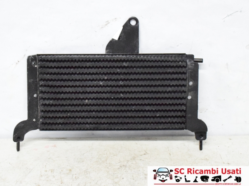 Radiatore Carburante Peugeot 207 1.6 Hdi 1579JC - 28236