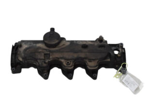 8200629199G COPERCHIO PUNTERIE DACIA Duster 1° Serie diesel