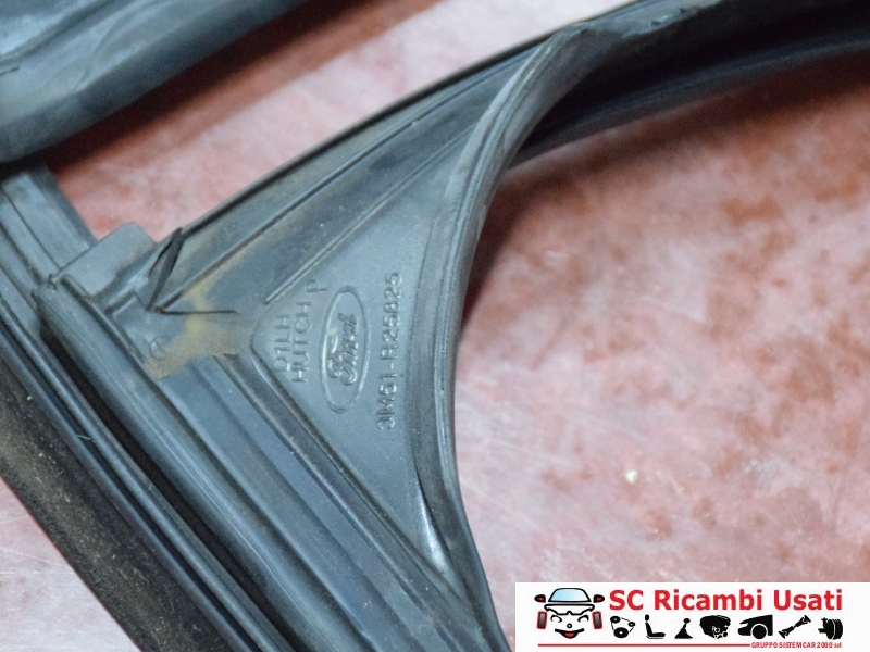 Guarnizione Porta Posteriore Sinistra Ford C Max 3M51R25825 - 28267