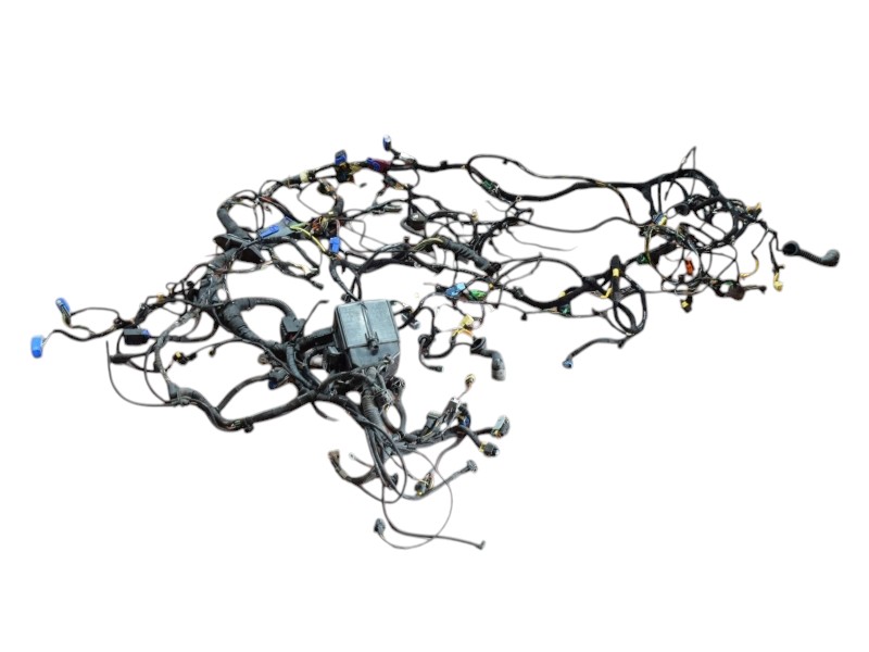 Cablaggio Fiat New Panda 1.3 Multijet 51981788 51928978 51928970 - 33373