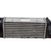 INTERCOOLER FIAT Panda 3° Serie diesel