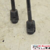 COPPIA MOLLE COFANO BAULE FORD C - Max Restyling 3M51R406A10AB (07>10)