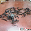 51981788 CABLAGGIO FIAT Panda 3° Serie diesel