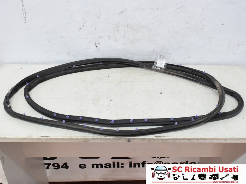 GUARNIZIONE PORTIERA ANTERIORE SINISTRA JEEP Compass Serie 52169650 (16>)