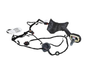 IMPIANTO ELETTRICO (CABLAGGIO) PORTA POSTERIORE SX JEEP Compass Serie 52189811 (16>)