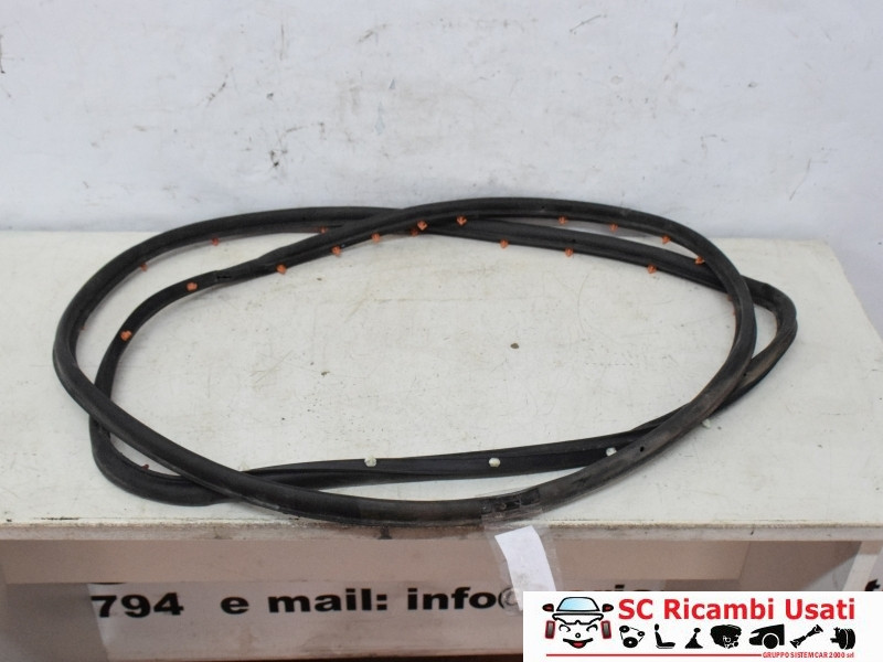 GUARNIZIONE PORTIERA POSTERIORE SINISTRA JEEP Compass Serie 52169652 (16>)
