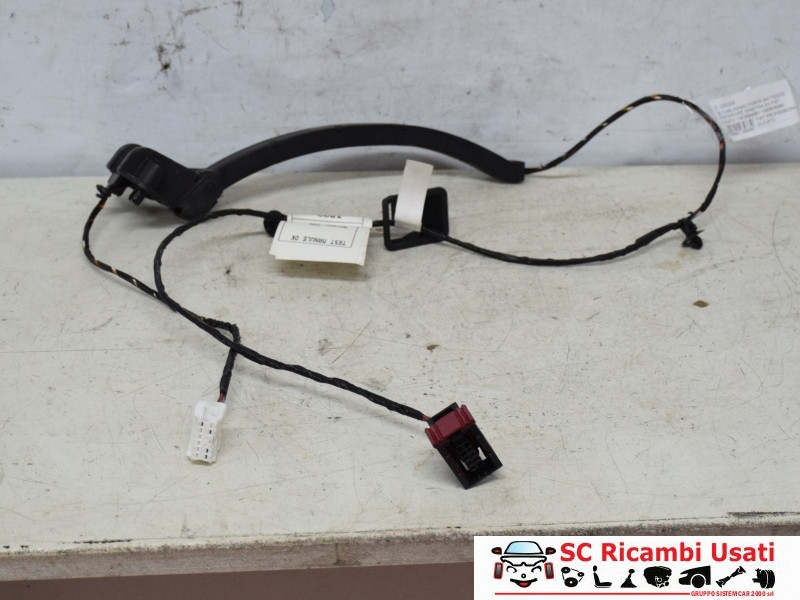 PORTIERA POSTERIORE DESTRA FIAT Ducato 6° Serie 1343884080 (17>21)